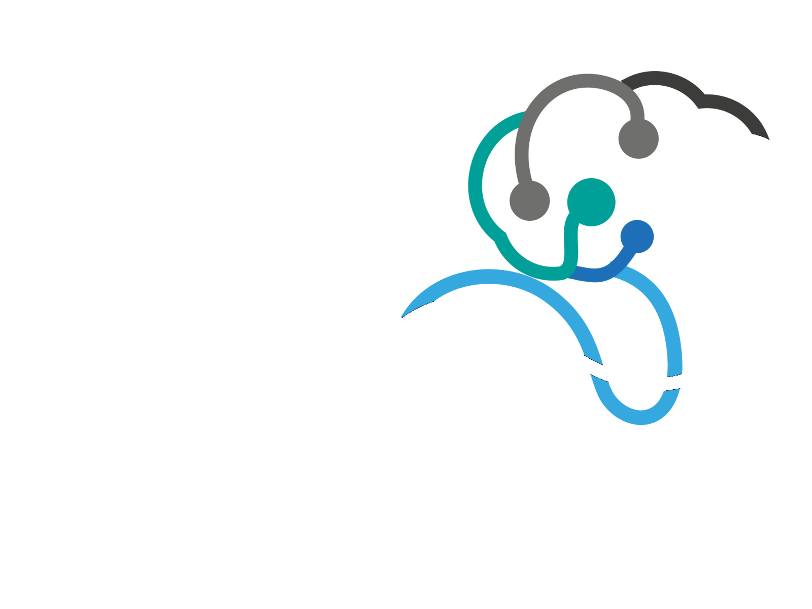Data Braider Logo
